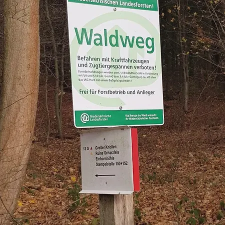 Hagebutze Mit Sauna Und Schwimmbad Apartment Bad Lauterberg im Harz