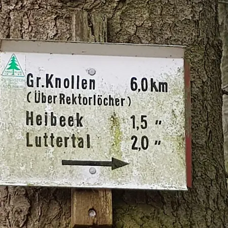 Hagebutze Mit Sauna Und Schwimmbad